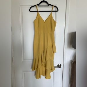 Dress the Population Connelly Dress